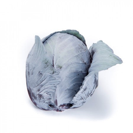 Profesionalno seme Seme kupusa Redma F1 - Katalog semena povrća SM AgroShop