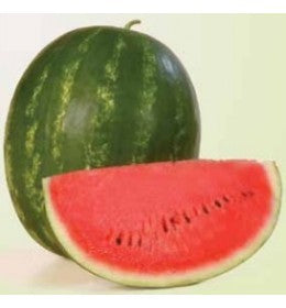 Seme Karistan F1 - Ostalo | SM AgroShop