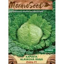 Seme Entira F1 - Ostalo | SM AgroShop