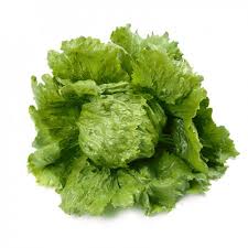 Profesionalno seme Seme salate Diamantinas pilirano - Katalog semena povrća SM AgroShop