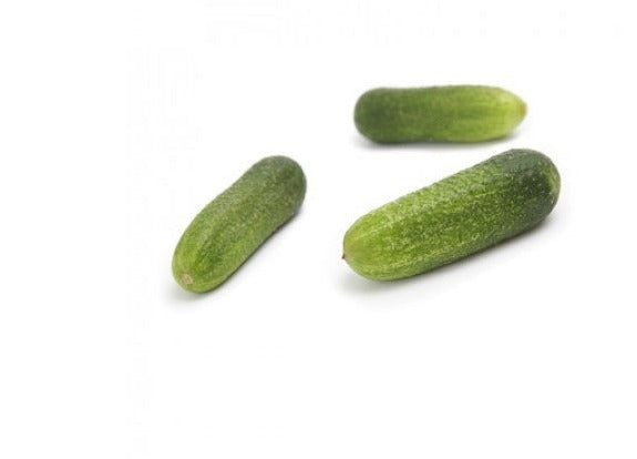 Seme Rapper F1 ( Poboljšani Trilogy) - Ostalo | SM AgroShop