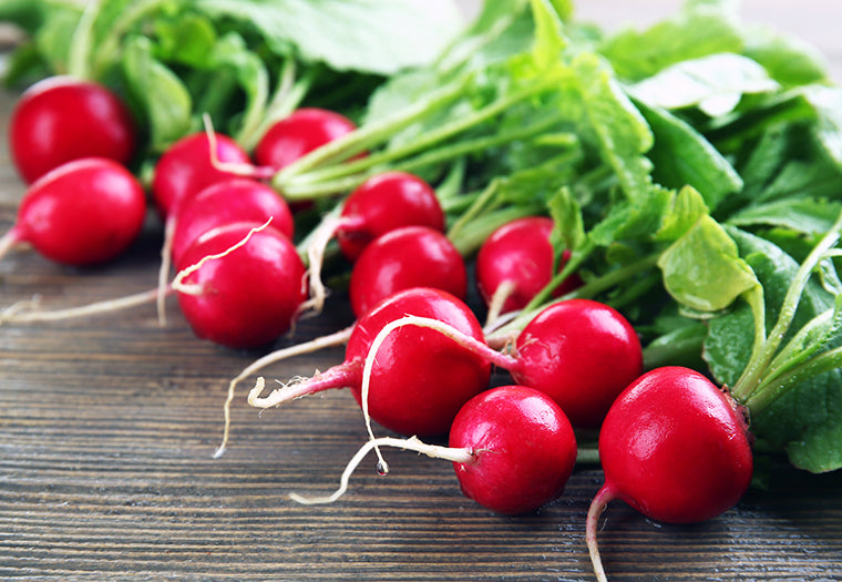 Profesionalno seme Seme rotkvice Escala F1 - Katalog semena povrća SM AgroShop