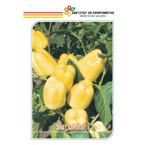 Seme Šorokšari 10g - Ostalo | SM AgroShop