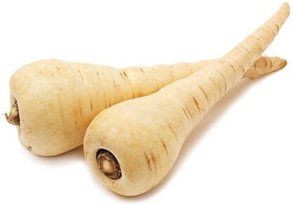 Seme White gem - Ostalo | SM AgroShop