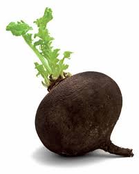 Seme Crna zimska rotkva - Ostalo | SM AgroShop