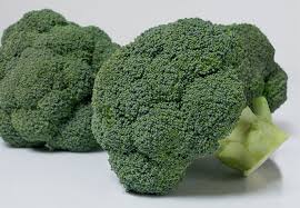 Seme Covina F1 (precizna setva) - Ostalo | SM AgroShop