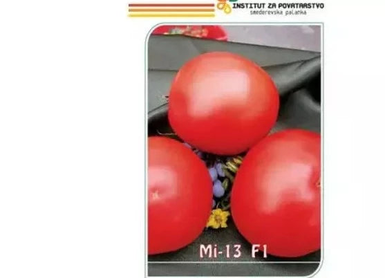 Seme MI - 13 F1 - Ostalo | SM AgroShop