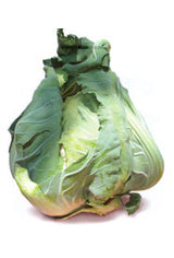 Seme Chambord F1 - Ostalo | SM AgroShop