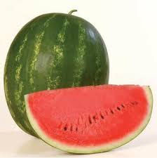 Seme Olympia F1 - Ostalo | SM AgroShop