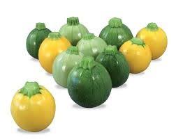 Profesionalno seme Seme tikvice ONE BALL F1, CUE BALL F1, EIGHT BALL F1 100s - Katalog semena povrća SM AgroShop - Brza dostava