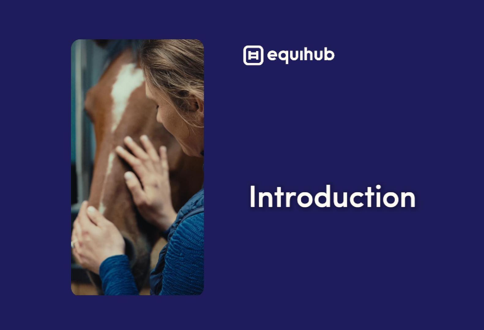 Equihub
