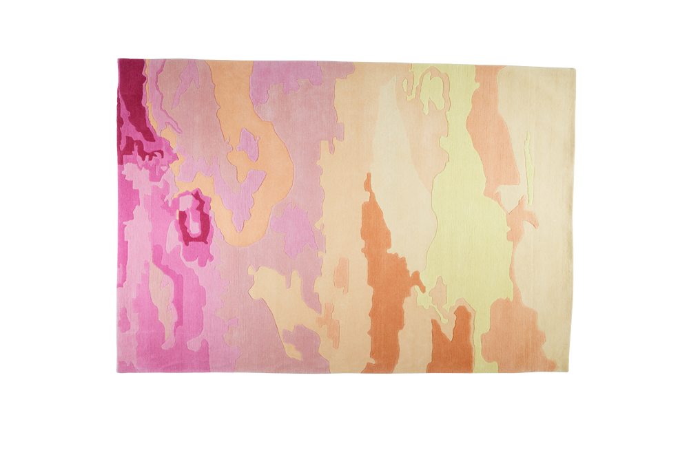 Begonia Pink Clouds - Image 1