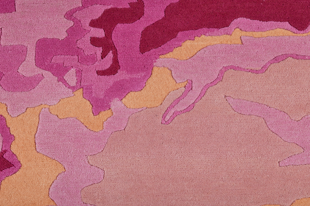 Begonia Pink Clouds - Image 3