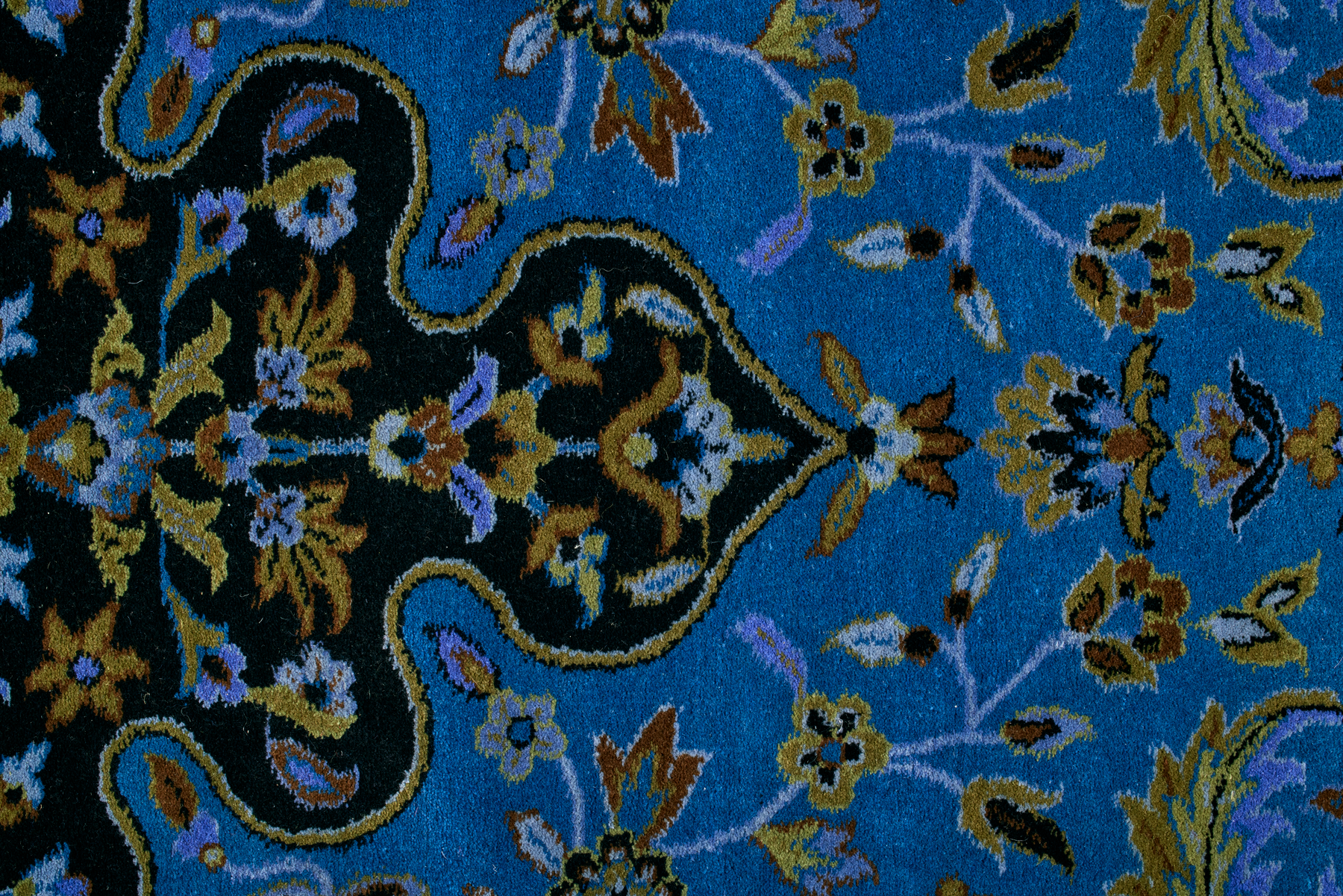 Cerulean Celebration - Image 3