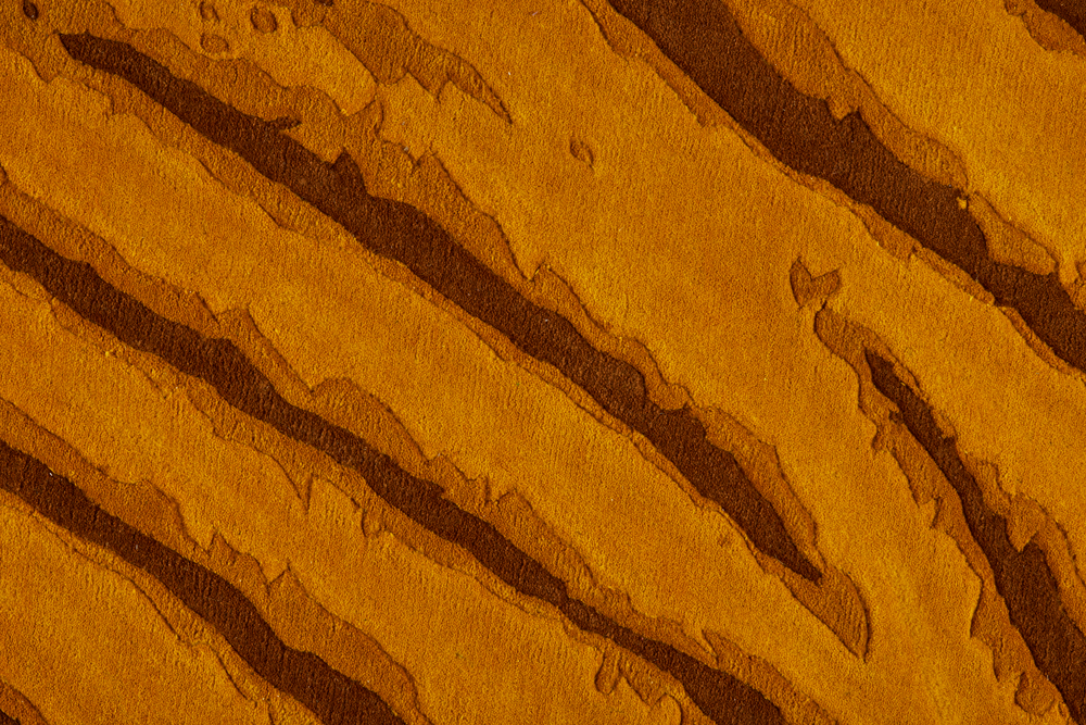 Cheddar Yellow Dunes - Image 5