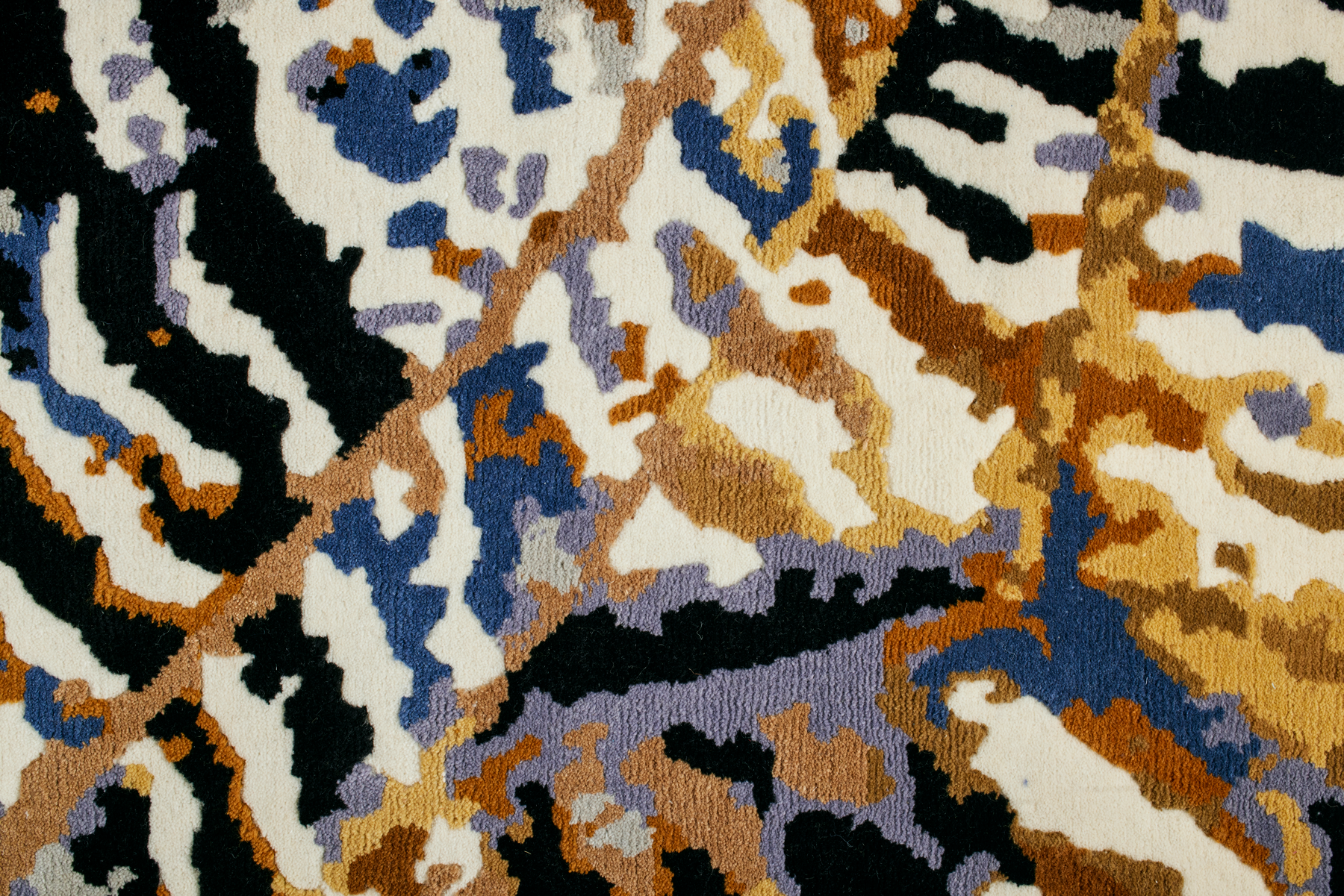 The Buckeye - Image 3