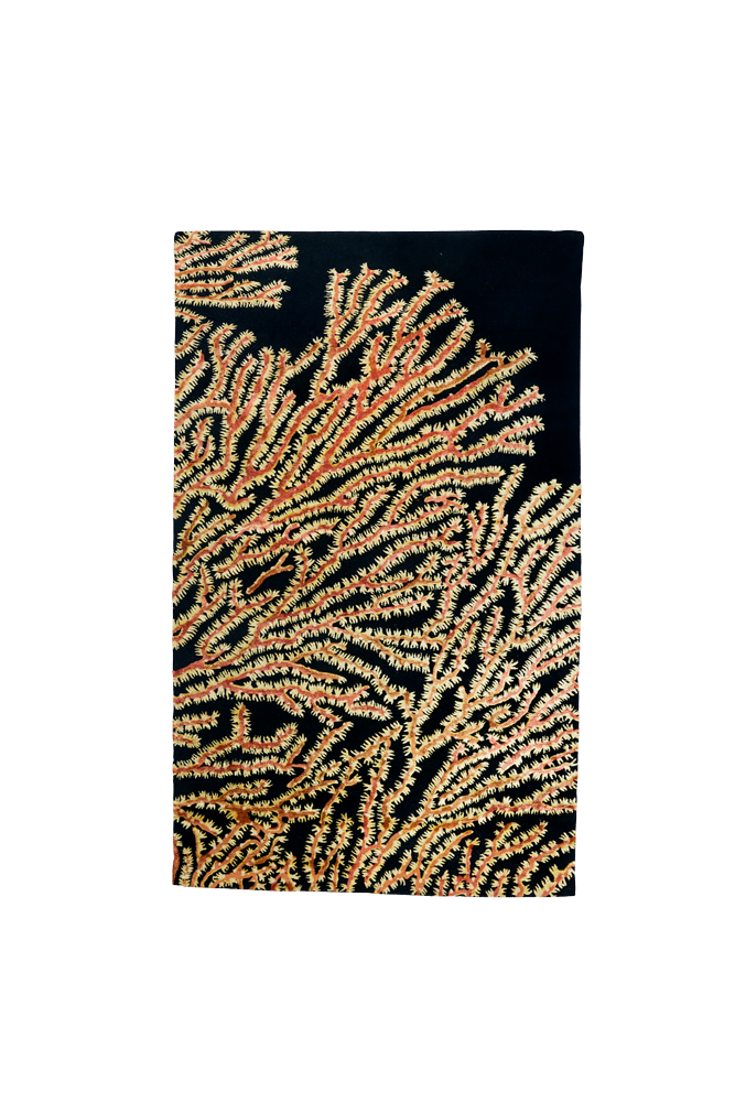 Xanthos Coral Reef - Image 1