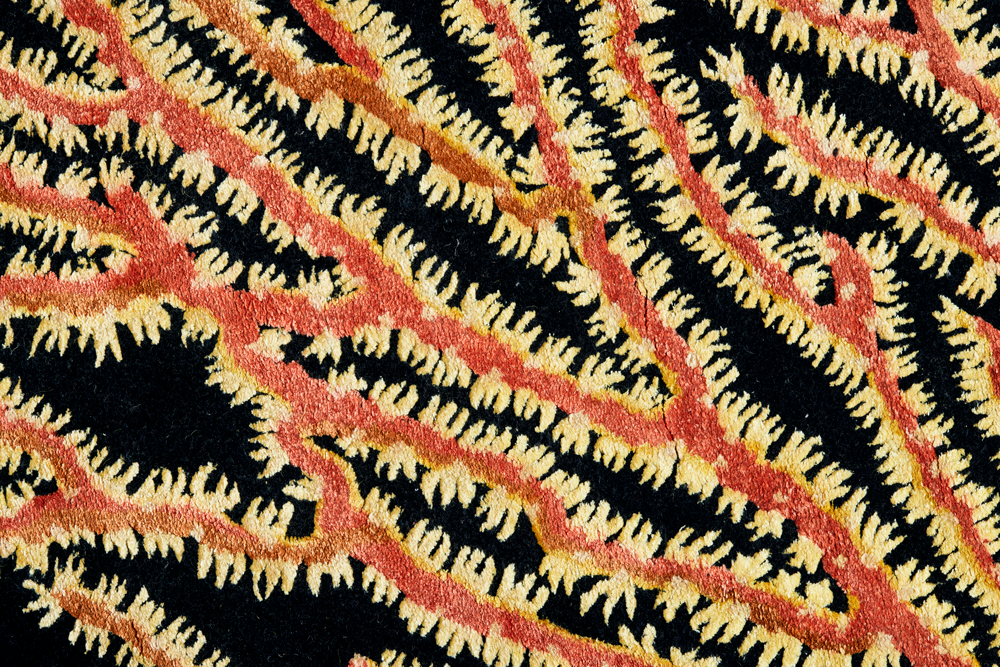 Xanthos Coral Reef - Image 3