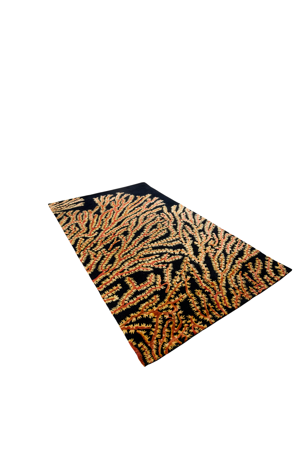 Xanthos Coral Reef - Image 4