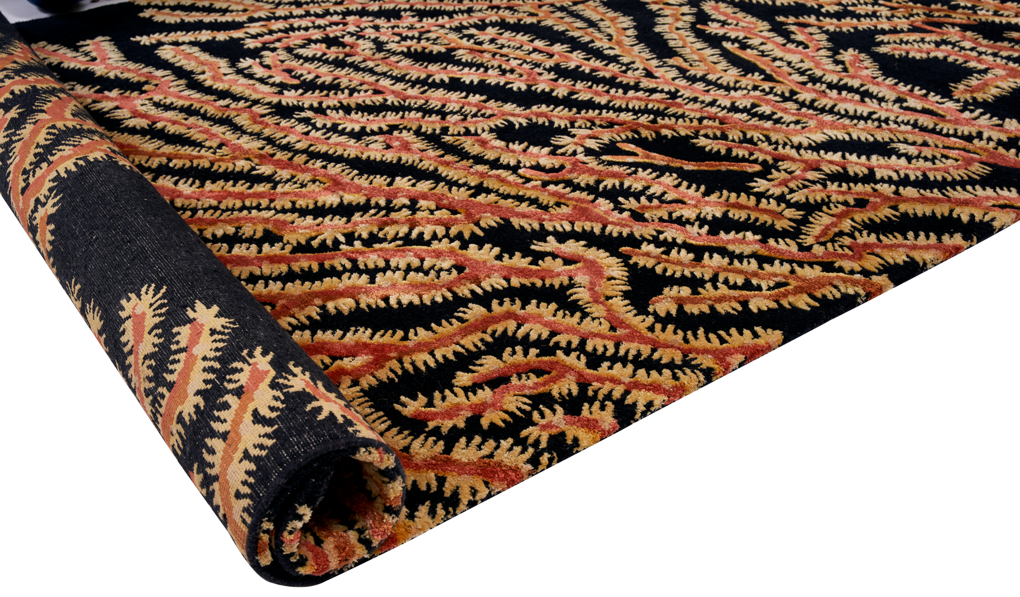 Xanthos Coral Reef - Image 5