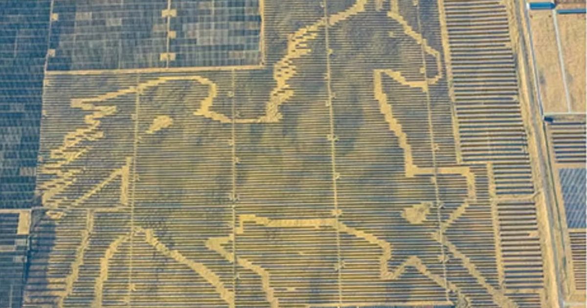 Гиннесийн дээд амжилтыг тогтоосон нарны морь