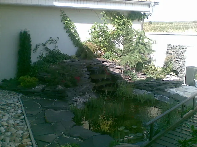 Fotografia z galérie