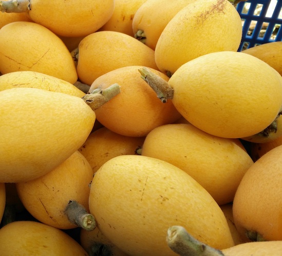 El níspero: la fruta olvidada que llega antes que el verano