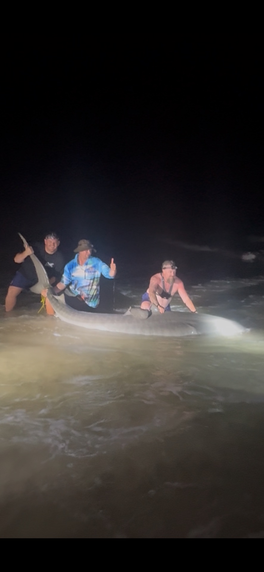 Tiger Shark caught by Ryan M