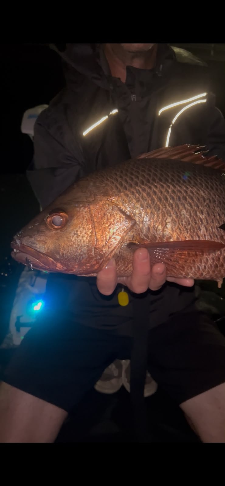 Mangrove Jack caught by Llew