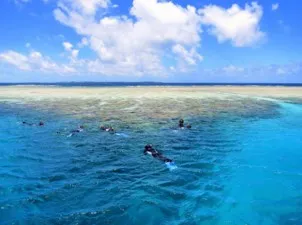 Yabiji Coral Reef Group