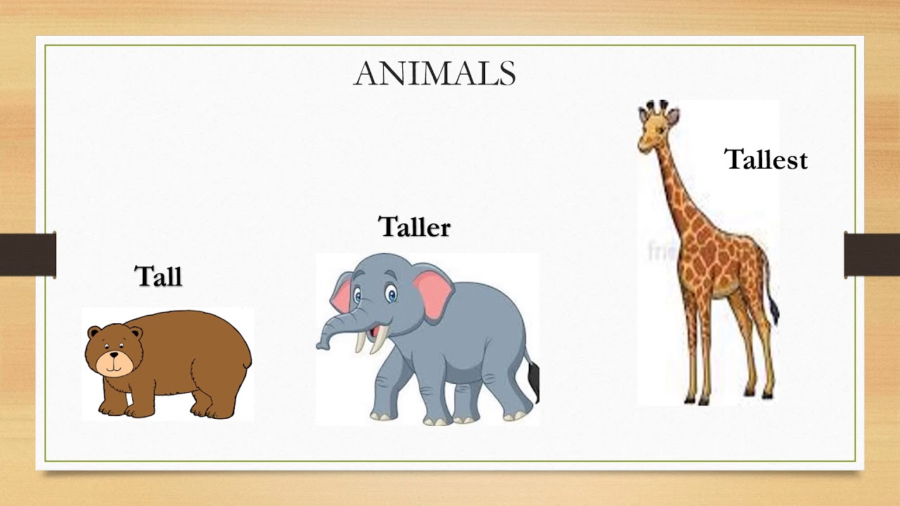 Adjectives: Comparing with -er and -est cover image