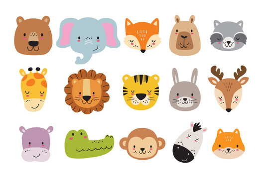 Animal grade 1 cover image