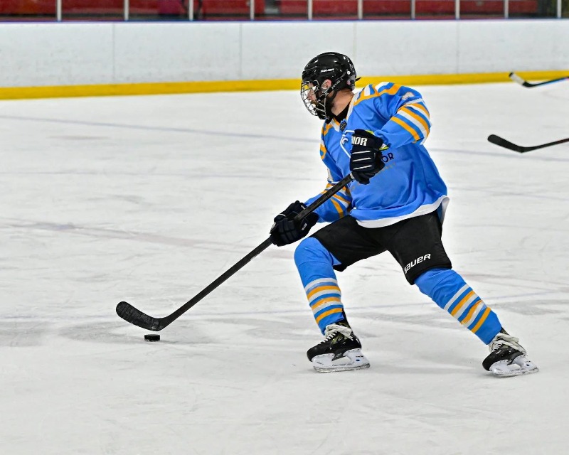 Ice Hockey cover image