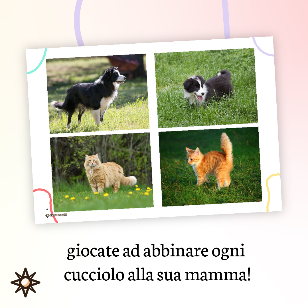 Carte Mamme Cuccioli abbinare