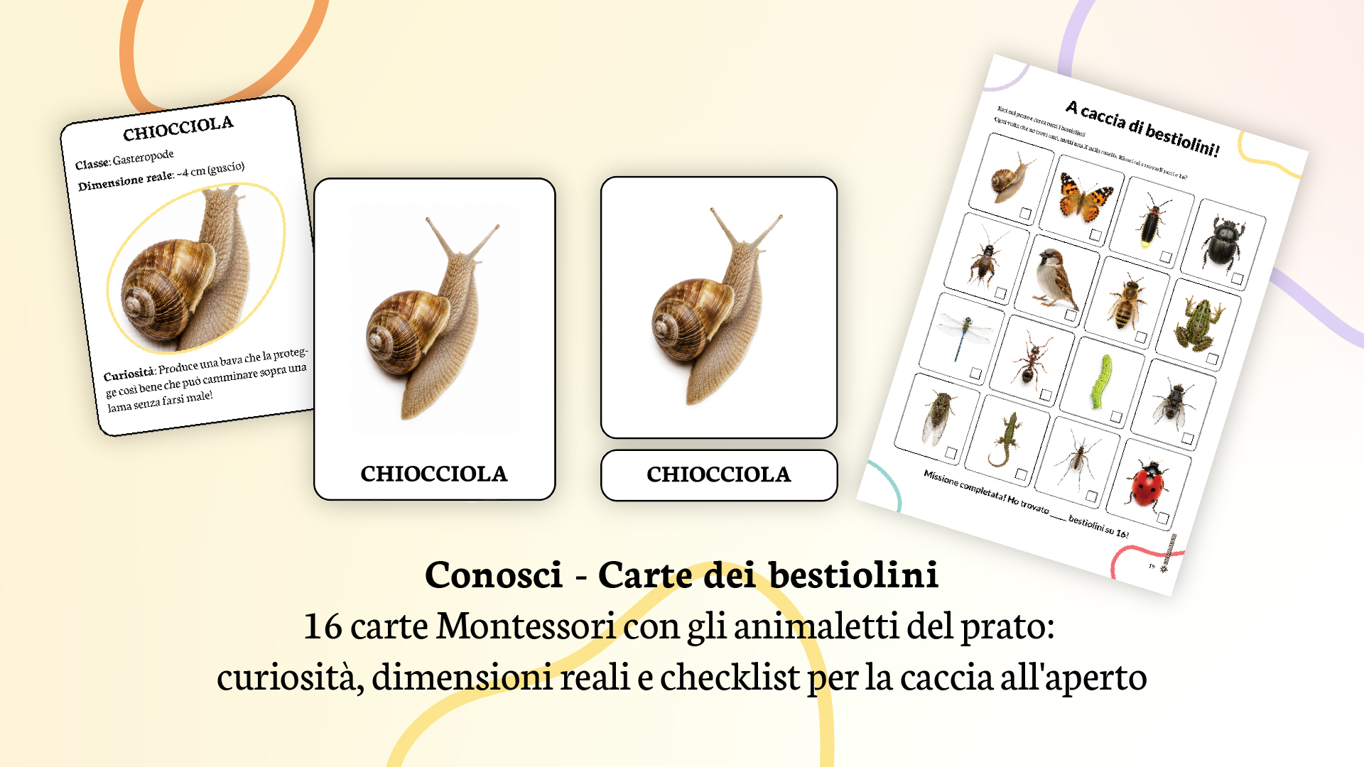 Carte dei bestiolini - nomenclature Montessori