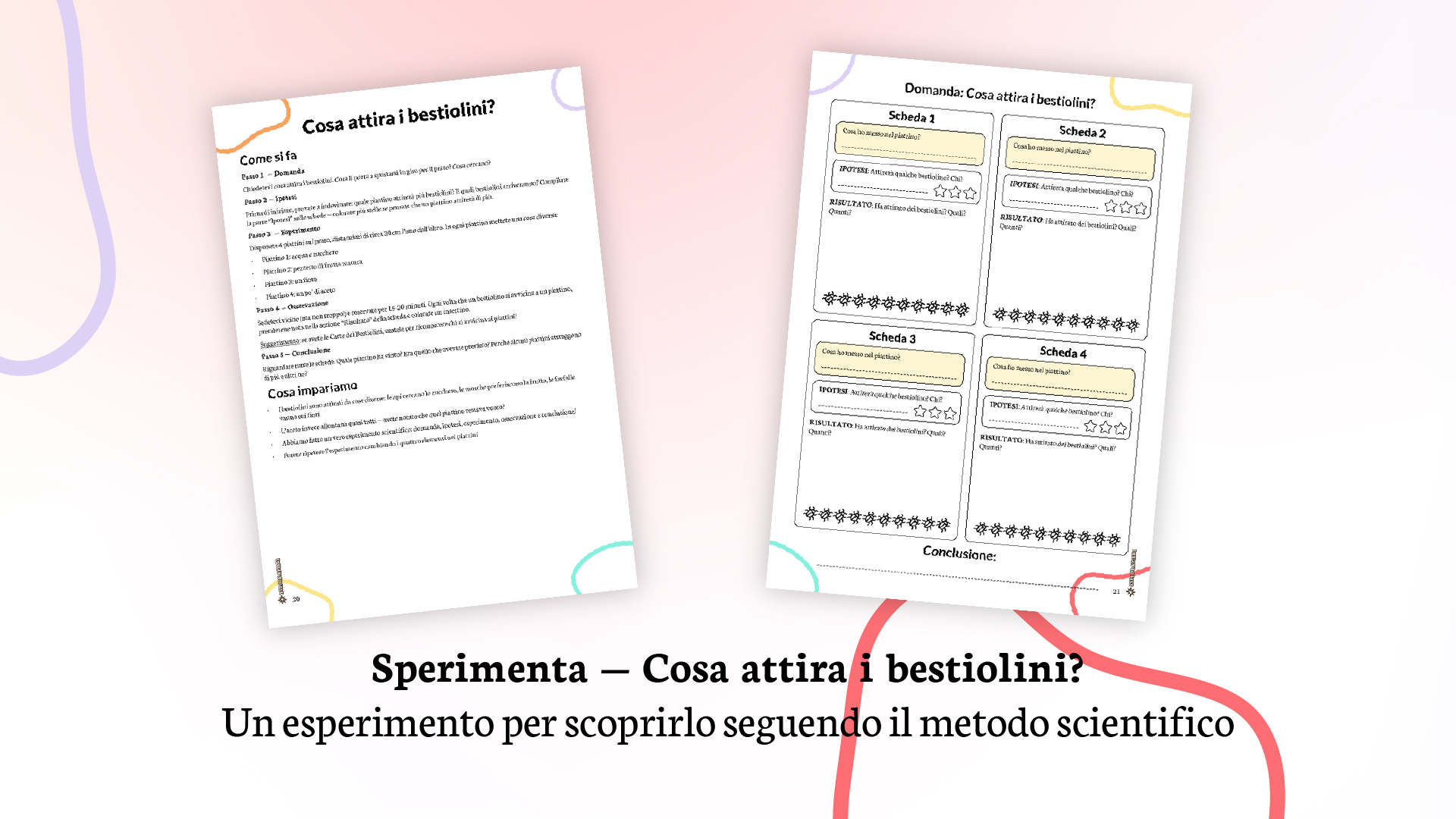 Esperimento cosa attira i bestiolini