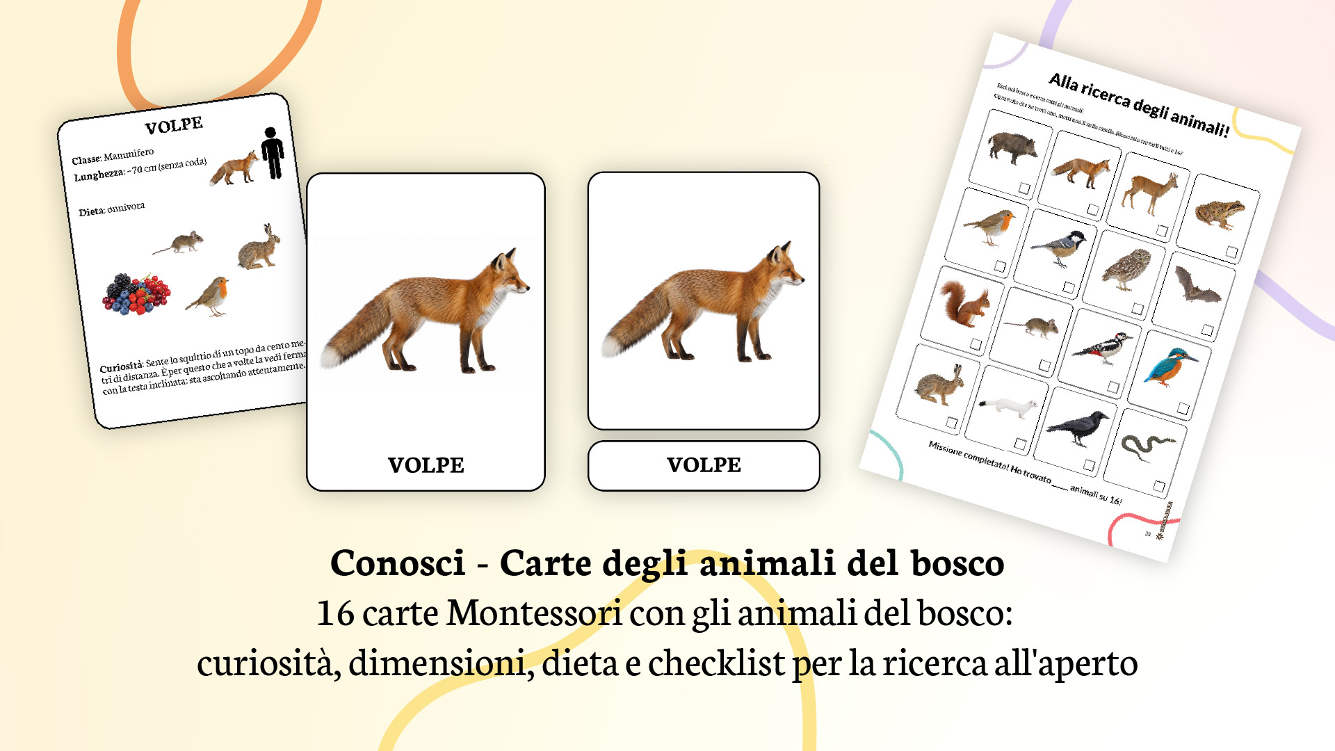 Carte degli animali del bosco - nomenclature Montessori