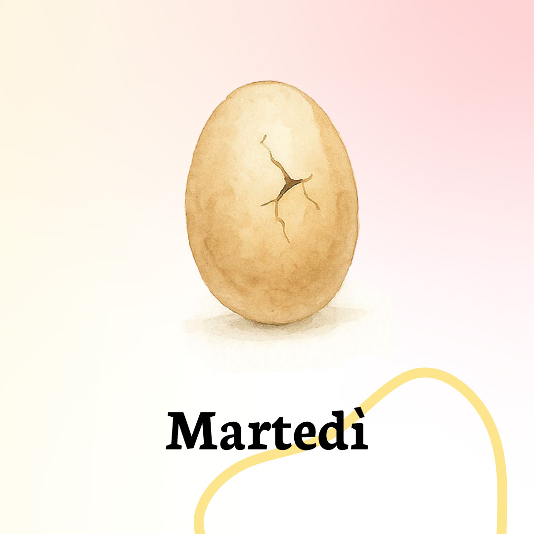 martedì