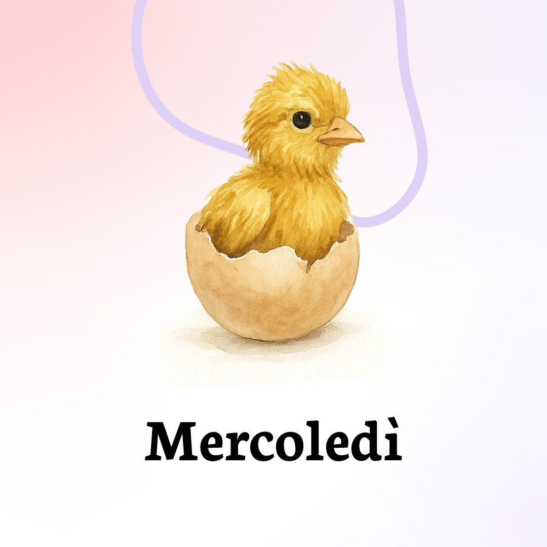 mercoledì