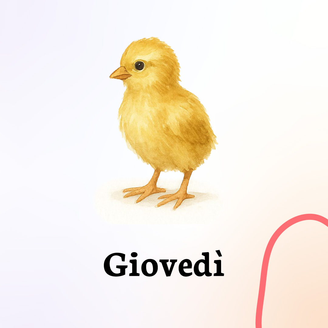 giovedì