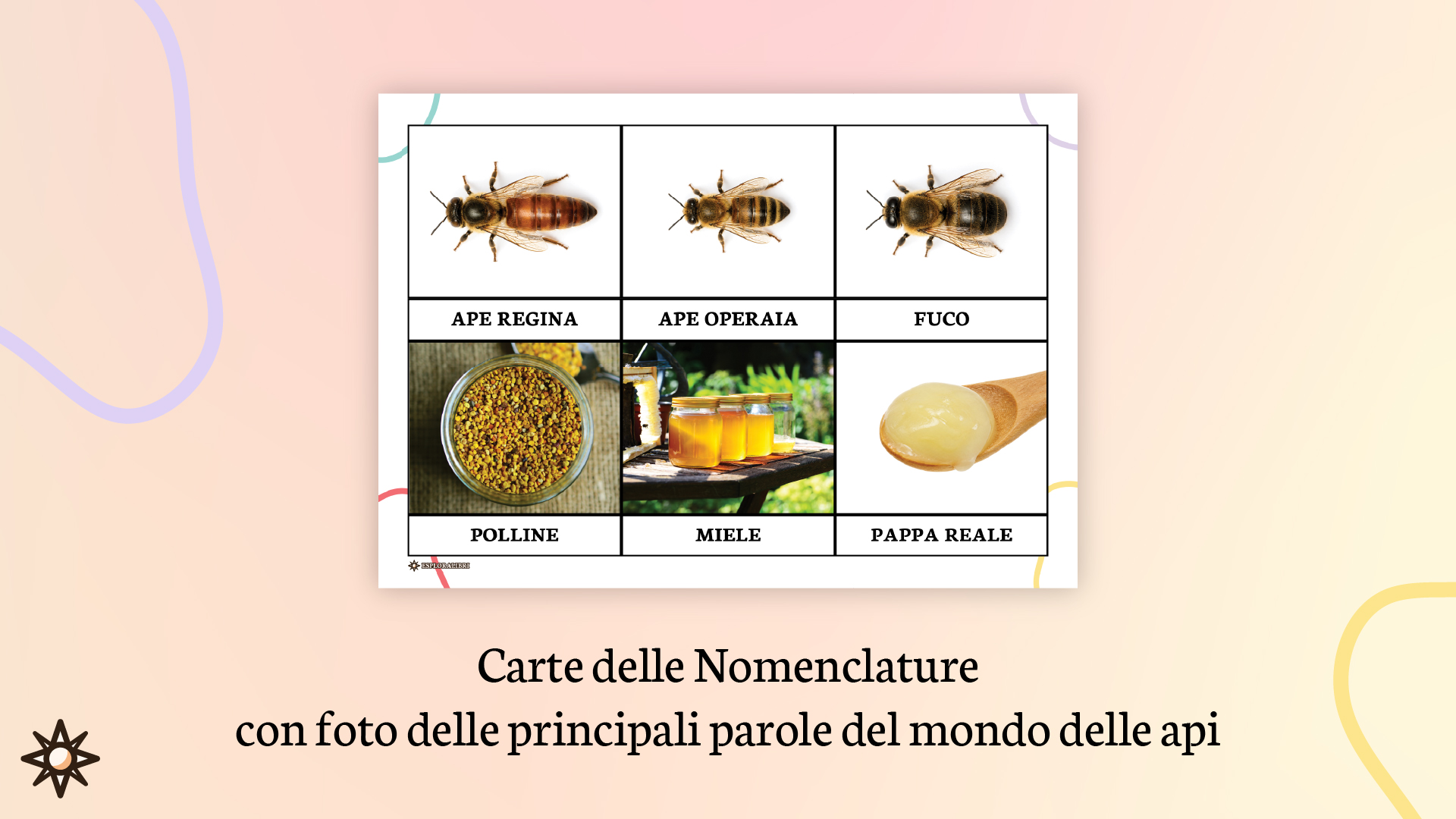 Carte delle nomenclature api