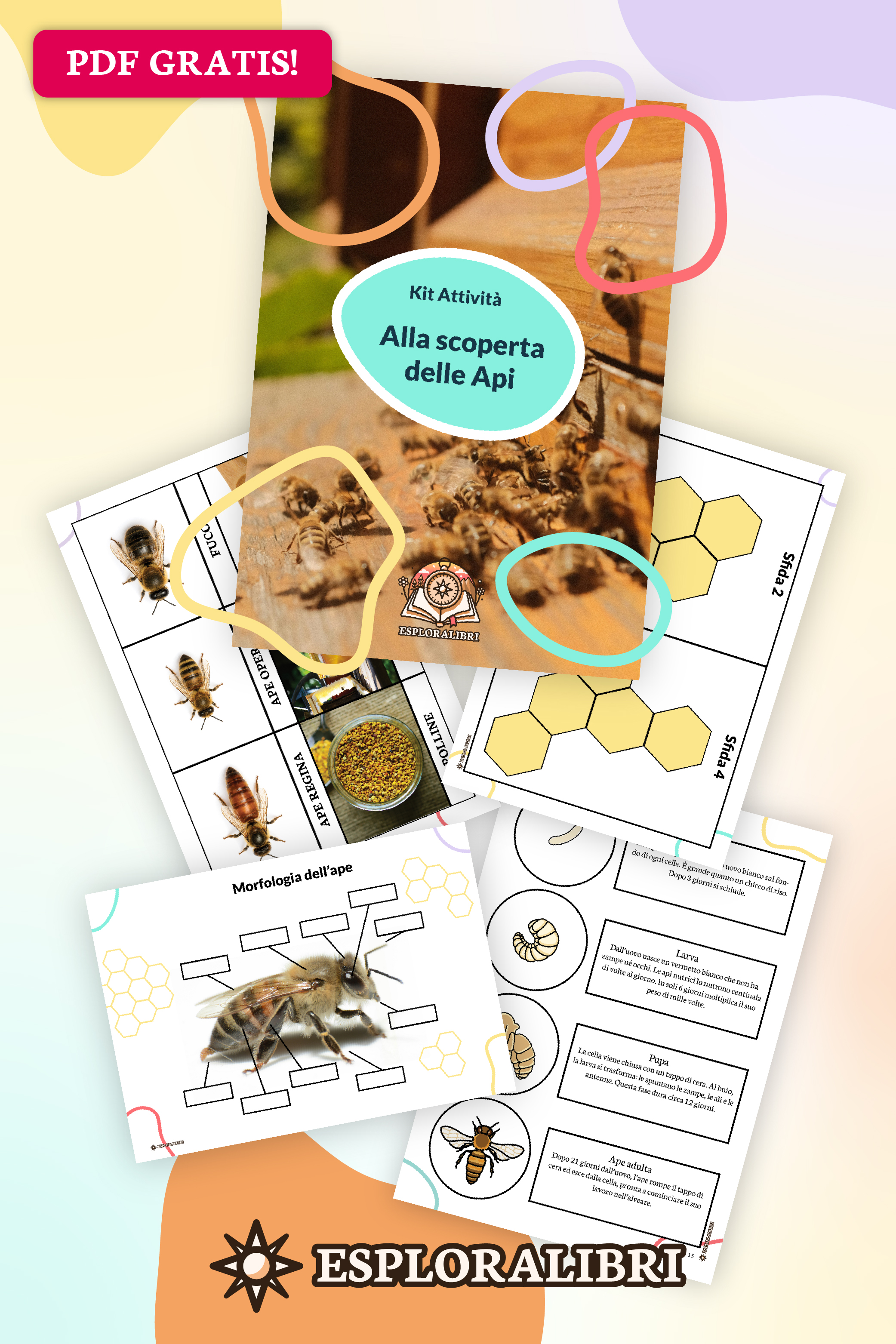 Salva su Pinterest