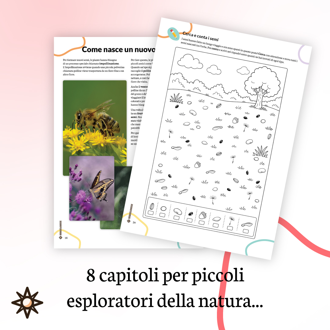 capitoli quaderno seme pianta