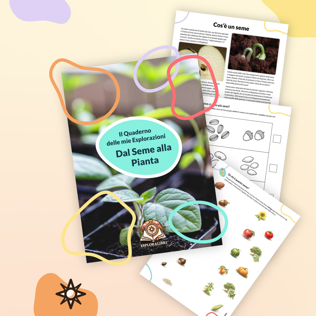 Quaderno Dal seme alla Pianta