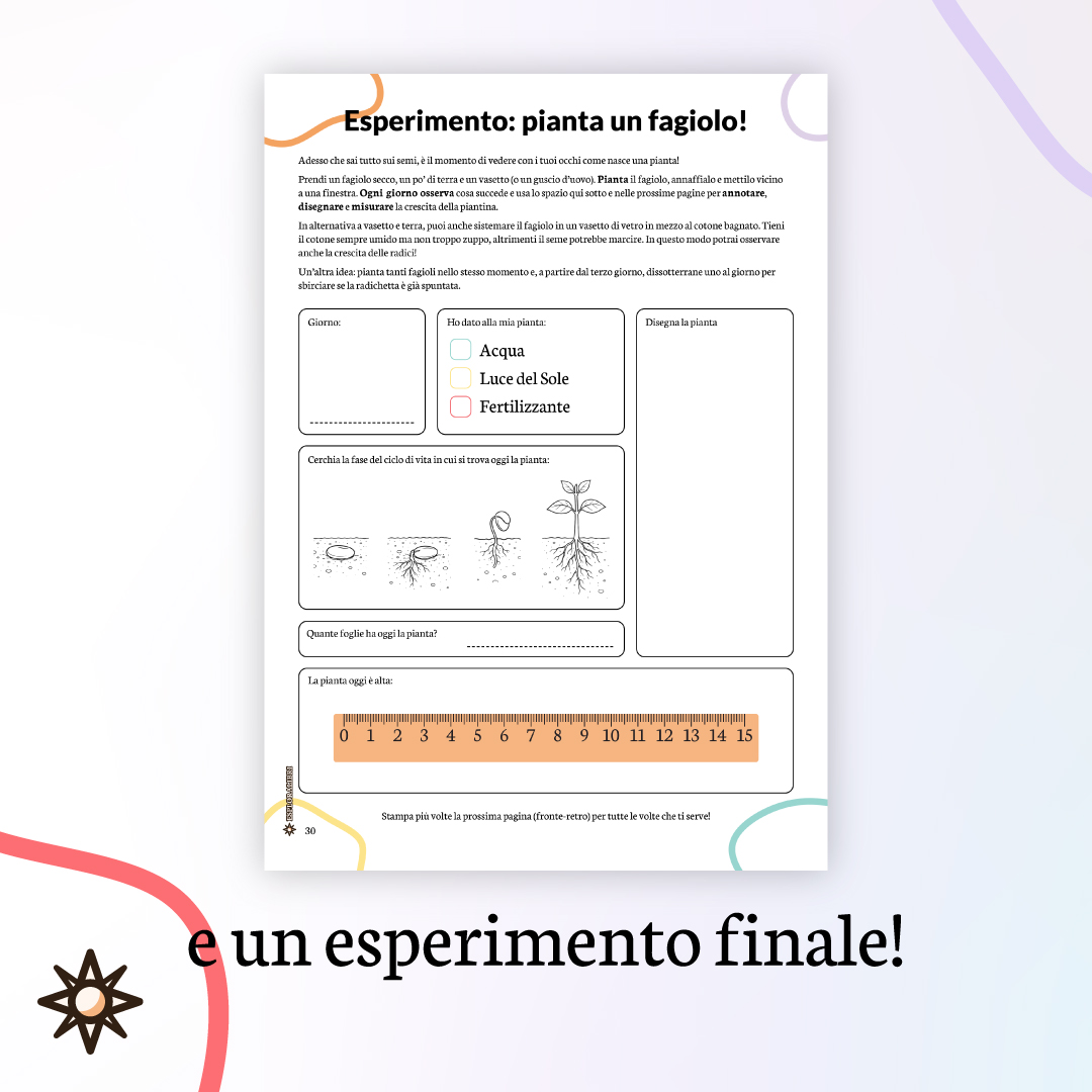 esperimento piantare seme