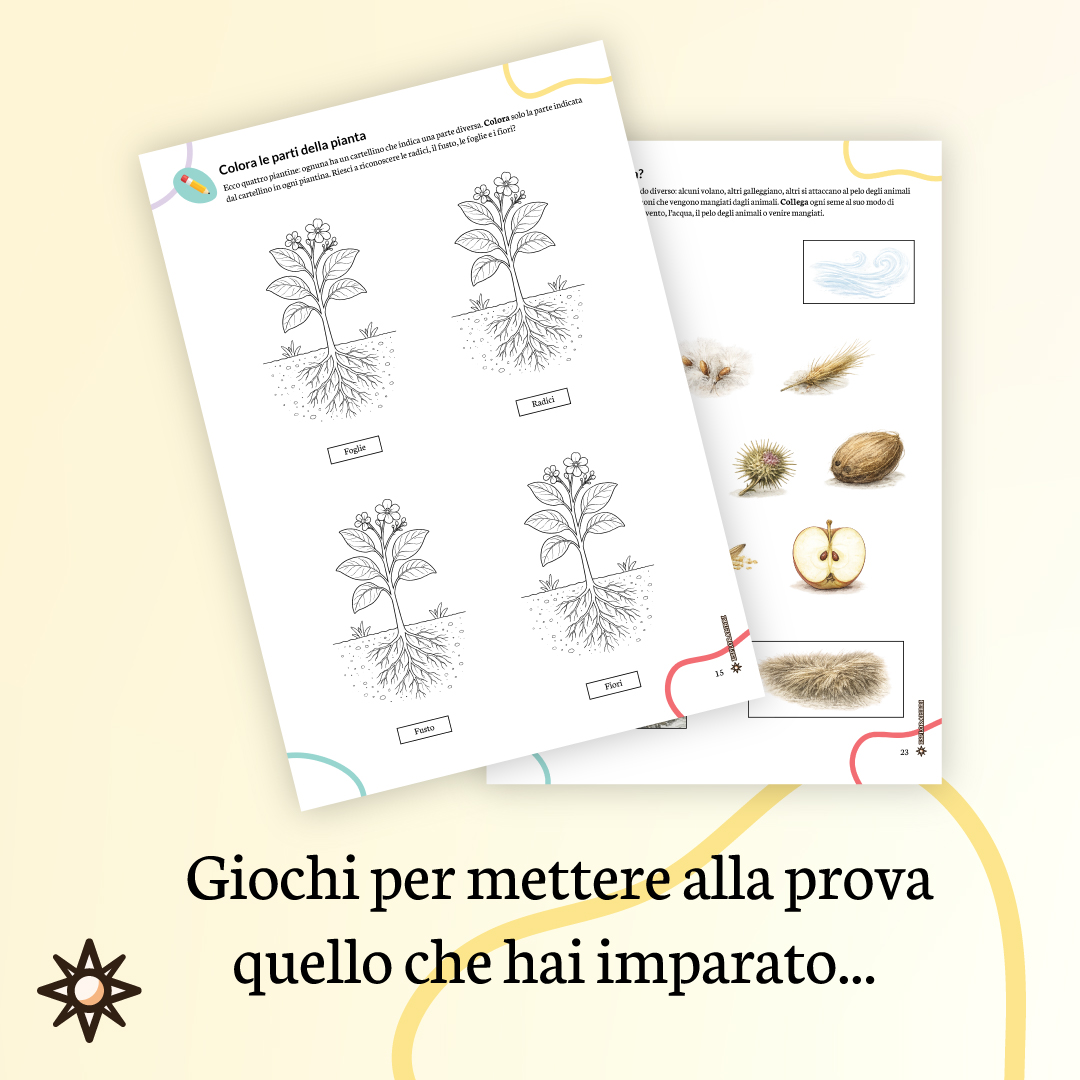 giochi educativi piante