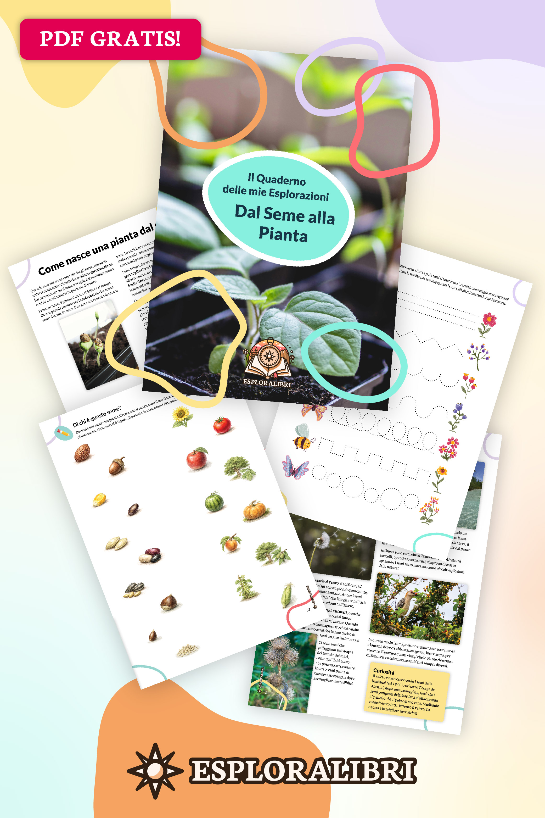 Salva su Pinterest