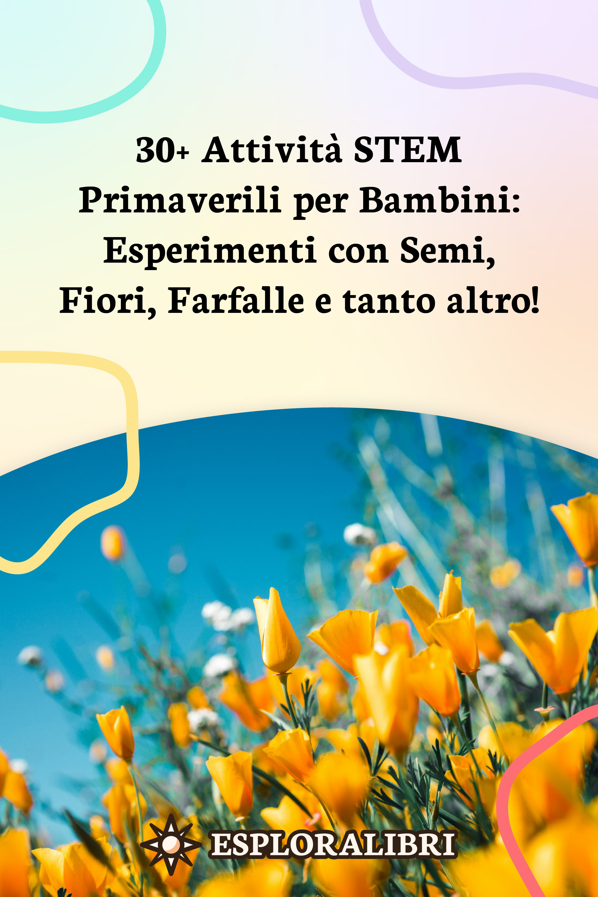 Salva su Pinterest