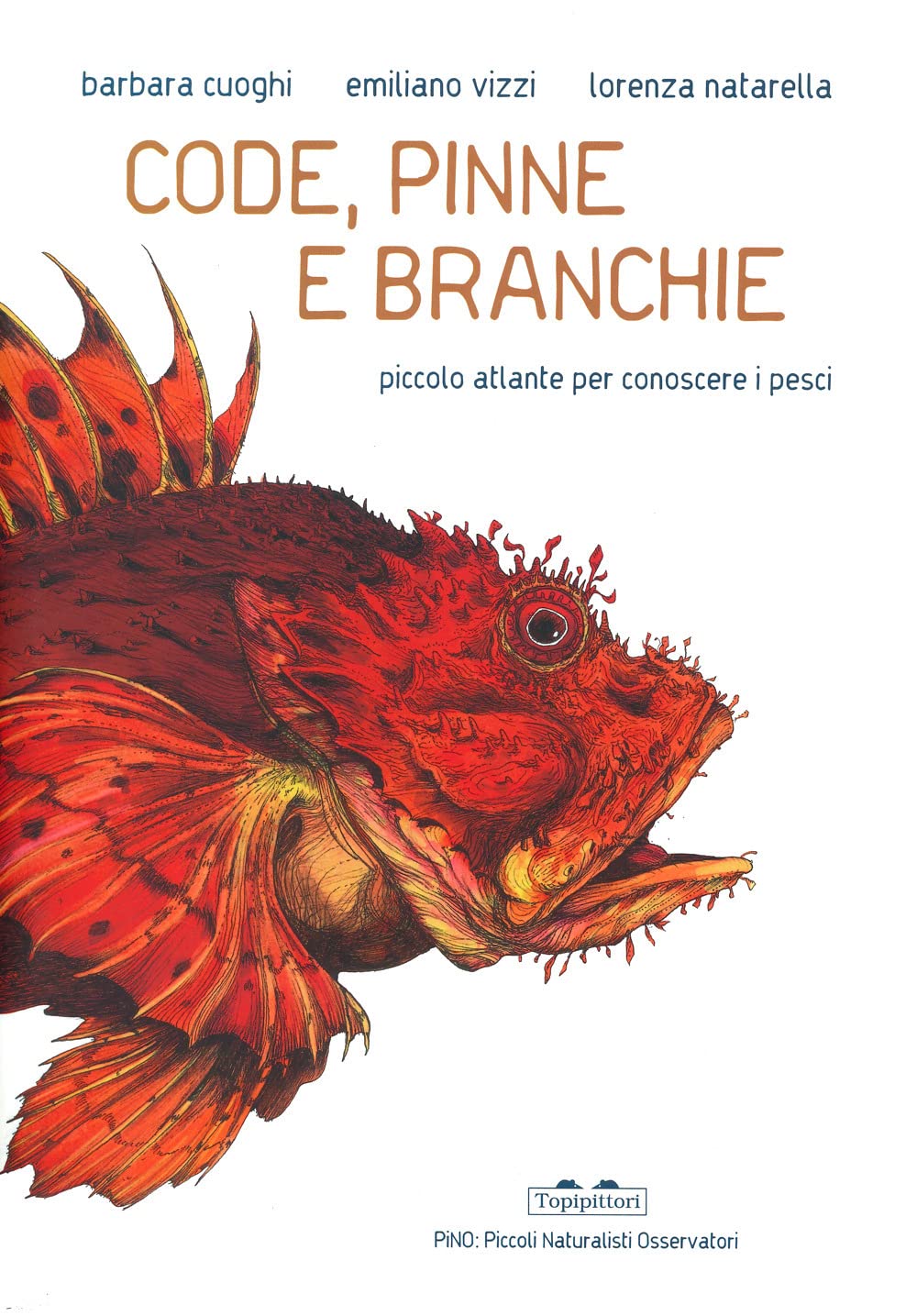 Code, pinne e branchi