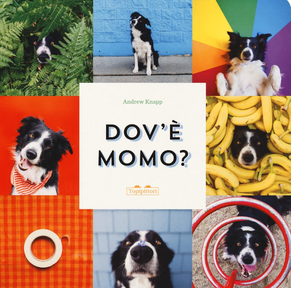 Dov'è Momo?